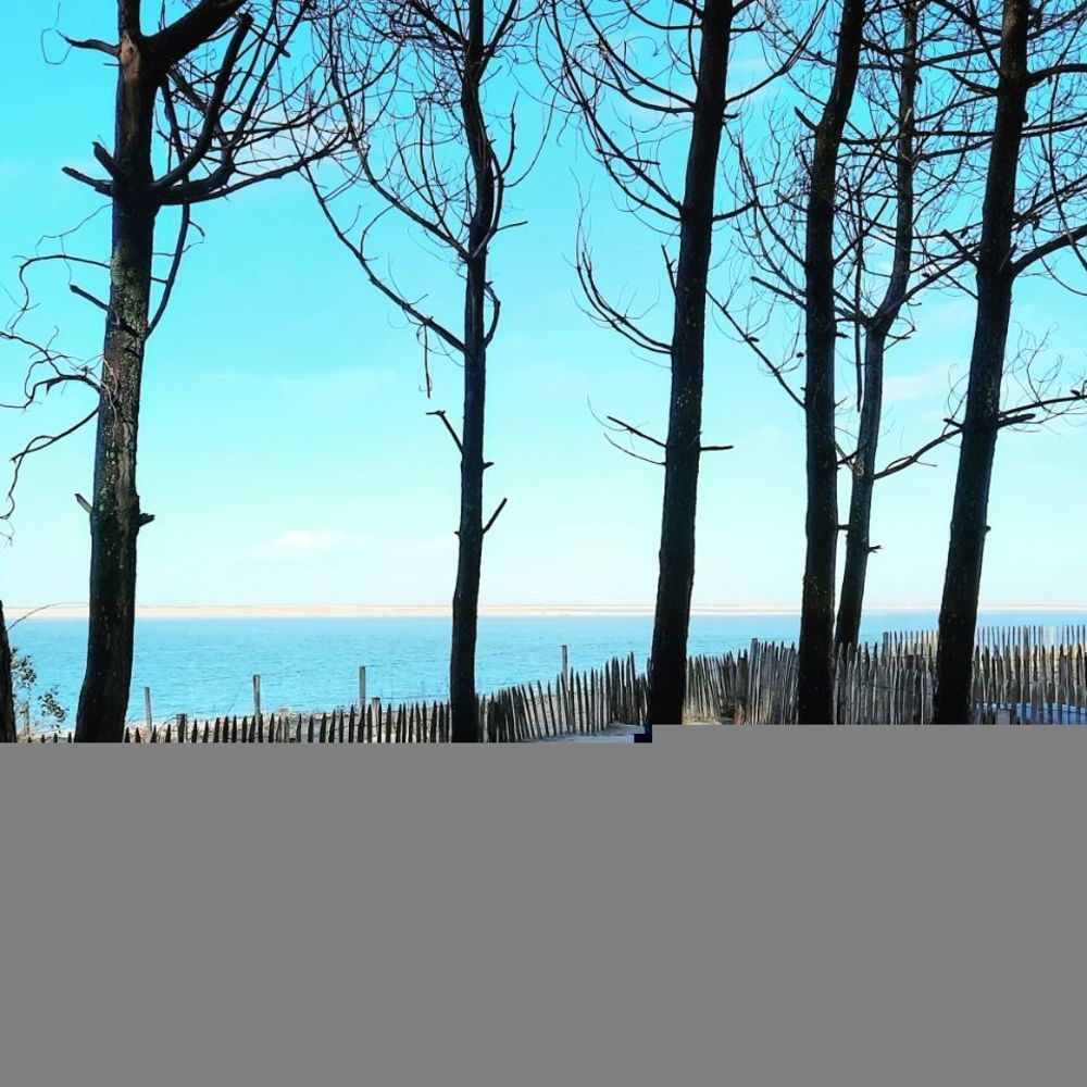 Maisons neuves   Pyla Sur Mer (33115)