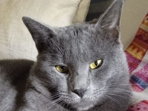 OTTO 220 95610 ragny