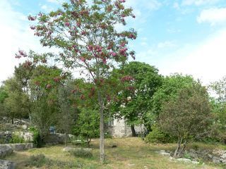 Location  Maison - Villa 