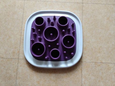 Gamelle anti glouton 15 34090 Montpellier