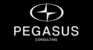 Pegasus Consulting 47