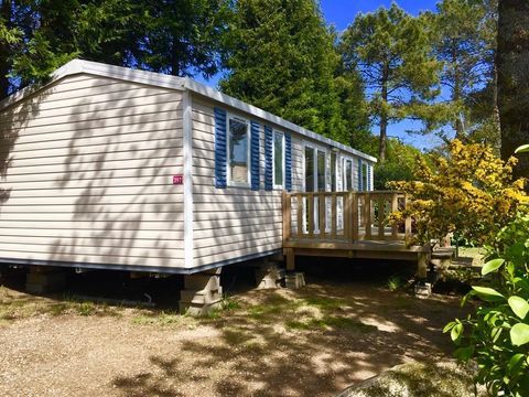 Mobil-Home Mobil-Home 2013 occasion Pont-Aven 29930