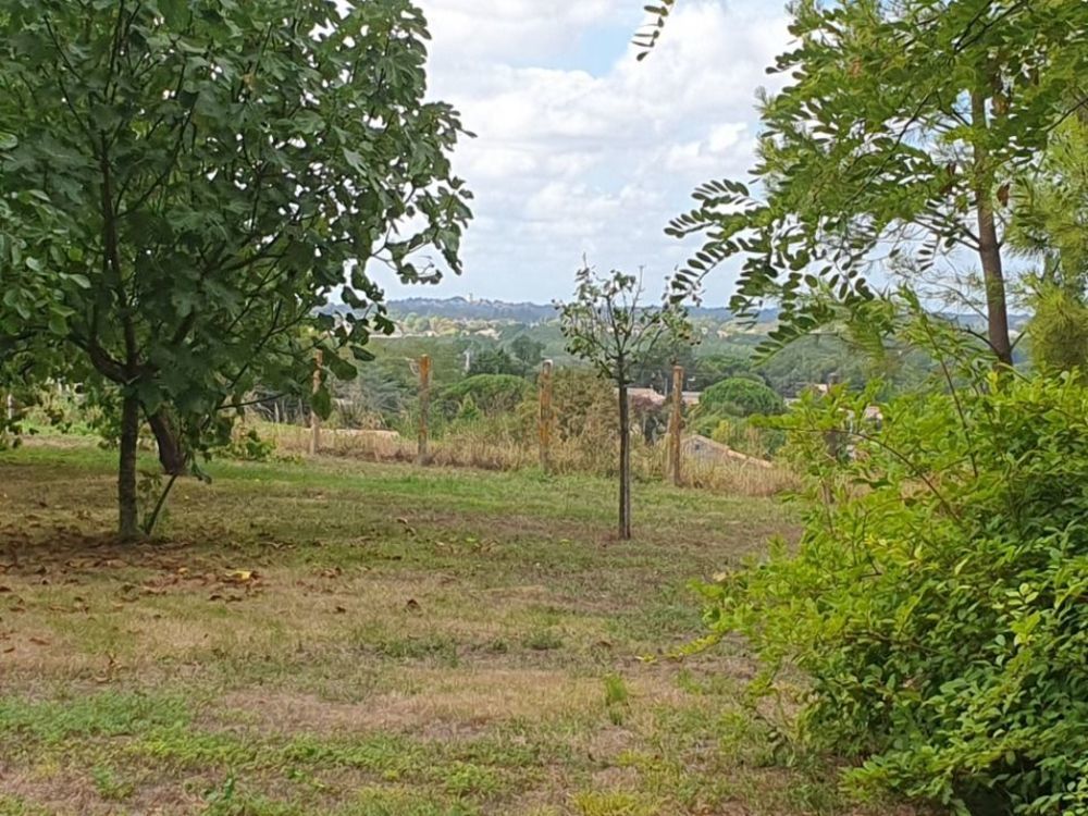 Maisons neuves   Lugon-et-l'�le-du-Carnay (33240)