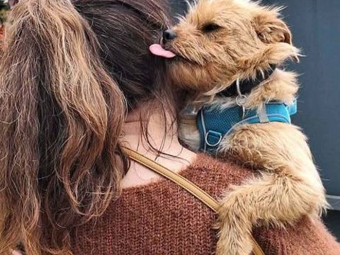 Anastasie &agrave; l'adoption 320 77810 Thomery