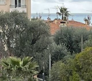  Appartement � vendre 2 pi�ces 47 m�