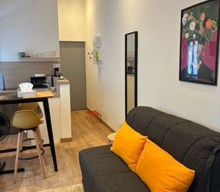  Appartement � louer 1 pi�ce 17 m�