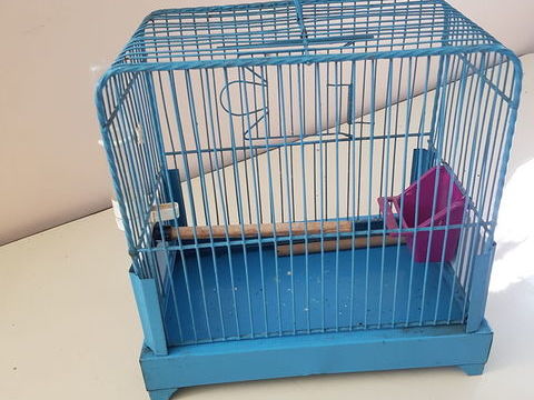 Cage oiseaux 15 93160 Noisy-le-grand