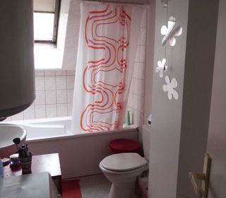  Appartement � louer 2/3 pi�ces 45 m�