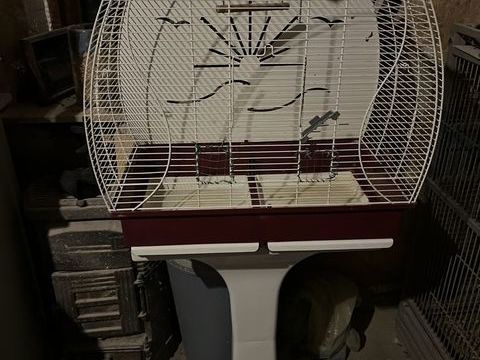 cages à oiseaux 35 57260 Dieuze