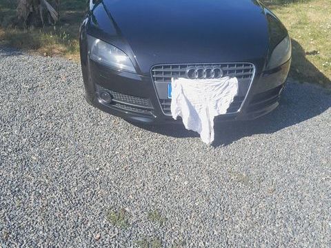 Audi TT Coup&eacute; 2.0 TFSI 200 S-Tronic A 2008 occasion Cubnezais 33620