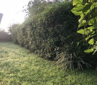  Appartement � louer 1 pi�ce 20 m�