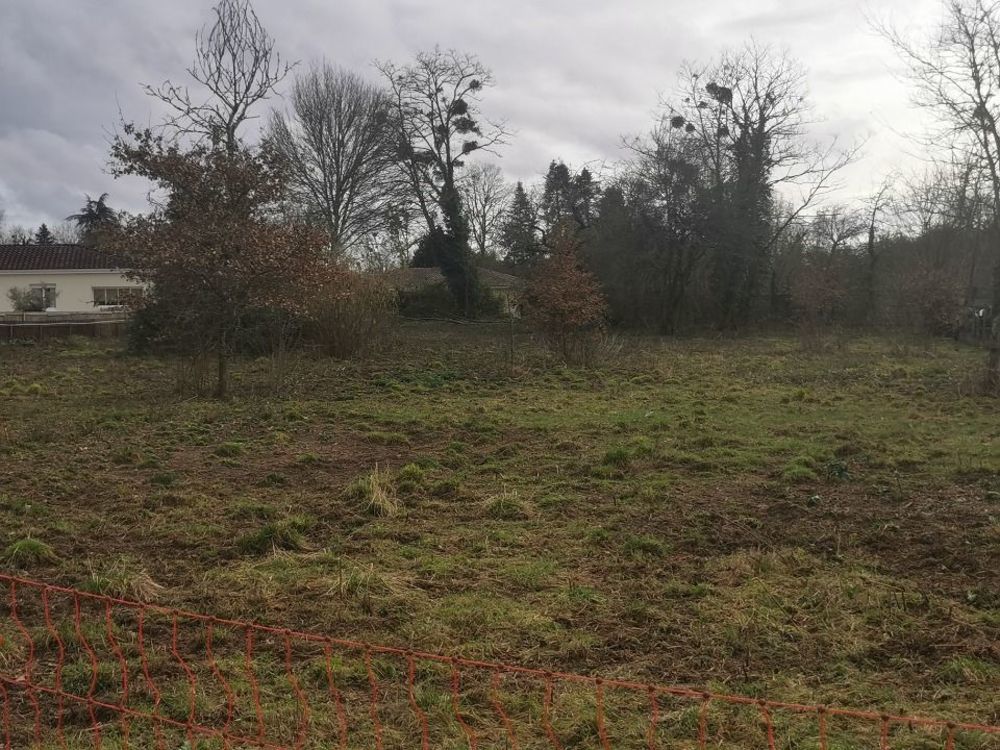 Maisons neuves   Noaillan (33730)