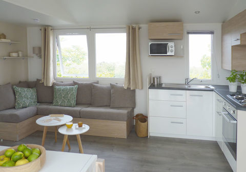 Mobil-Home Mobil-Home 2017 occasion La Palmyre 17570