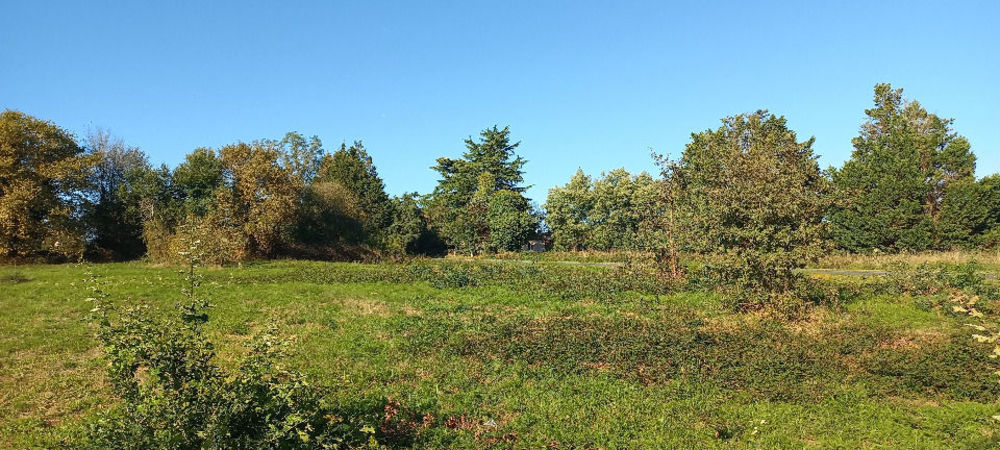 Terrains � batir   Saint-R�my (24700)