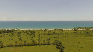  Plateau � vendre 50000 m�