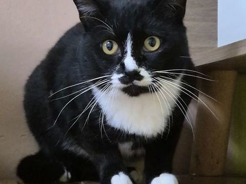 Athos 200 26700 Pierrelatte