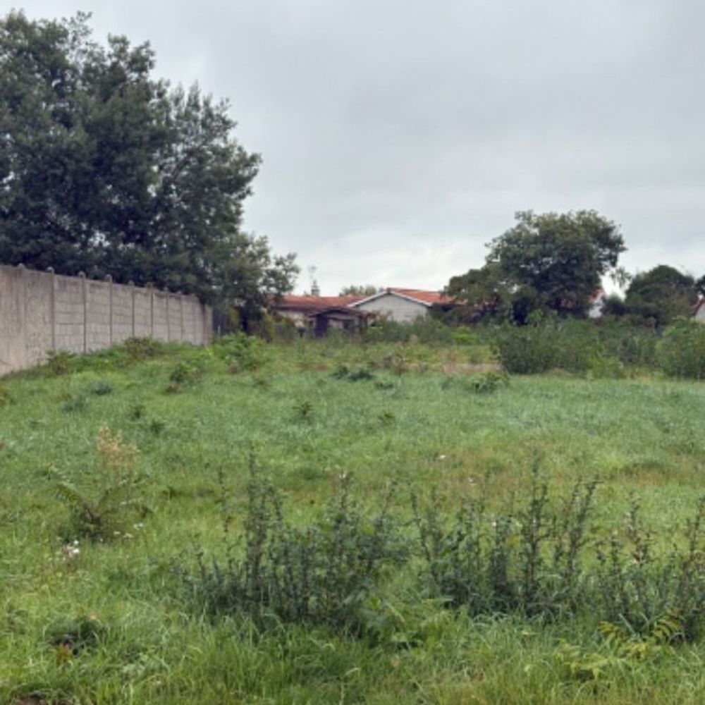 Maisons neuves   Villegouge (33141)