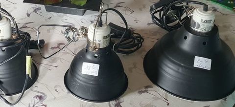 GLOBES  Terrarium Vivarium 15 61550 Saint-nicolas-de-sommaire