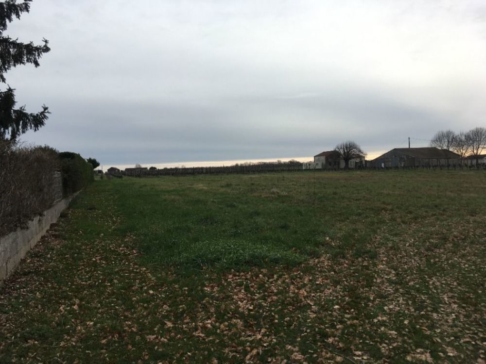 Maisons neuves   Haux (33550)