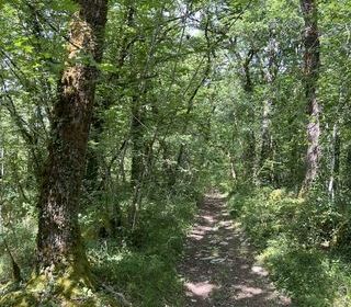  Terrain � vendre 125800 m�