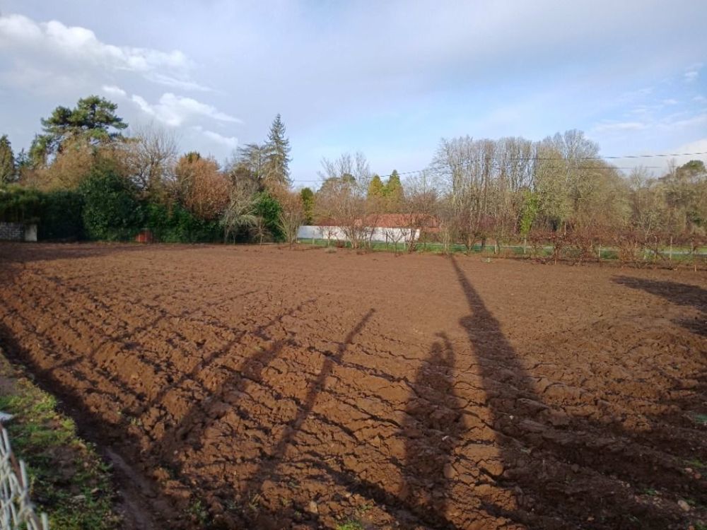   Antonne-et-Trigonant (24420)