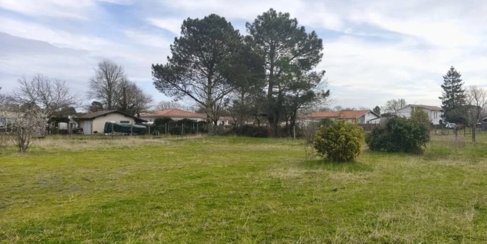 Maisons neuves   Ychoux (40160)