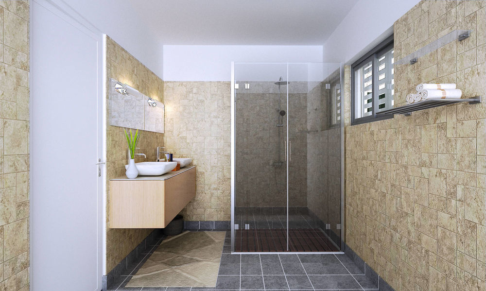 Appartements neufs   Saint-Pierre (97410)