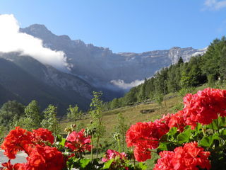 Location  Chambre d'h�te 