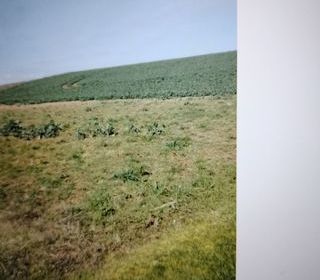  Terrain � vendre 1150 m�