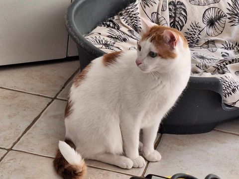 SIRIUS 210 92400 Courbevoie