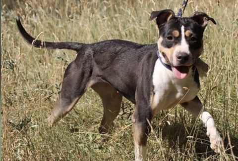 Flow 230 26700 Pierrelatte