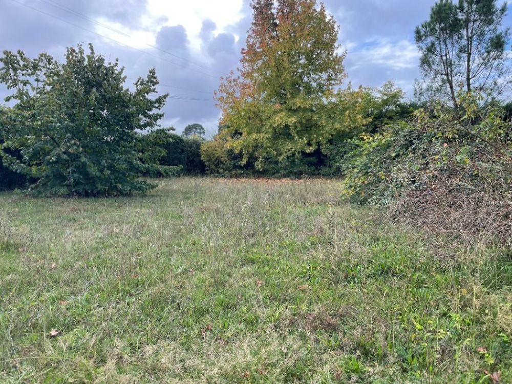 Maisons neuves   Lognan (33850)