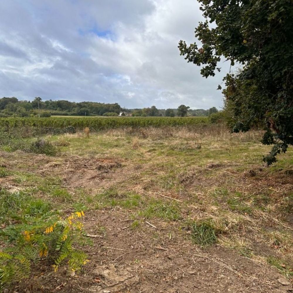 Maisons neuves   G�nissac (33420)