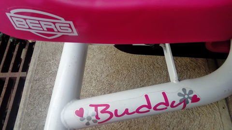 Kart Berg 230 Jard-sur-Mer (85)