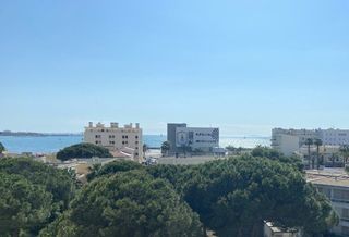  Appartement � vendre 2 pi�ces 35 m�