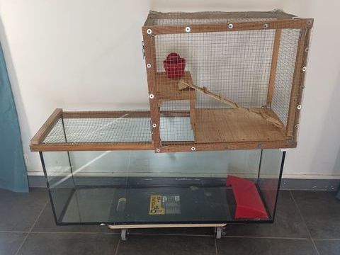 Grande cage &agrave; gerbilles / terrarium &agrave; prix co&ucirc;tant 40 49400 Saumur