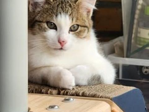 AKIKO 100 27640 Breuilpont