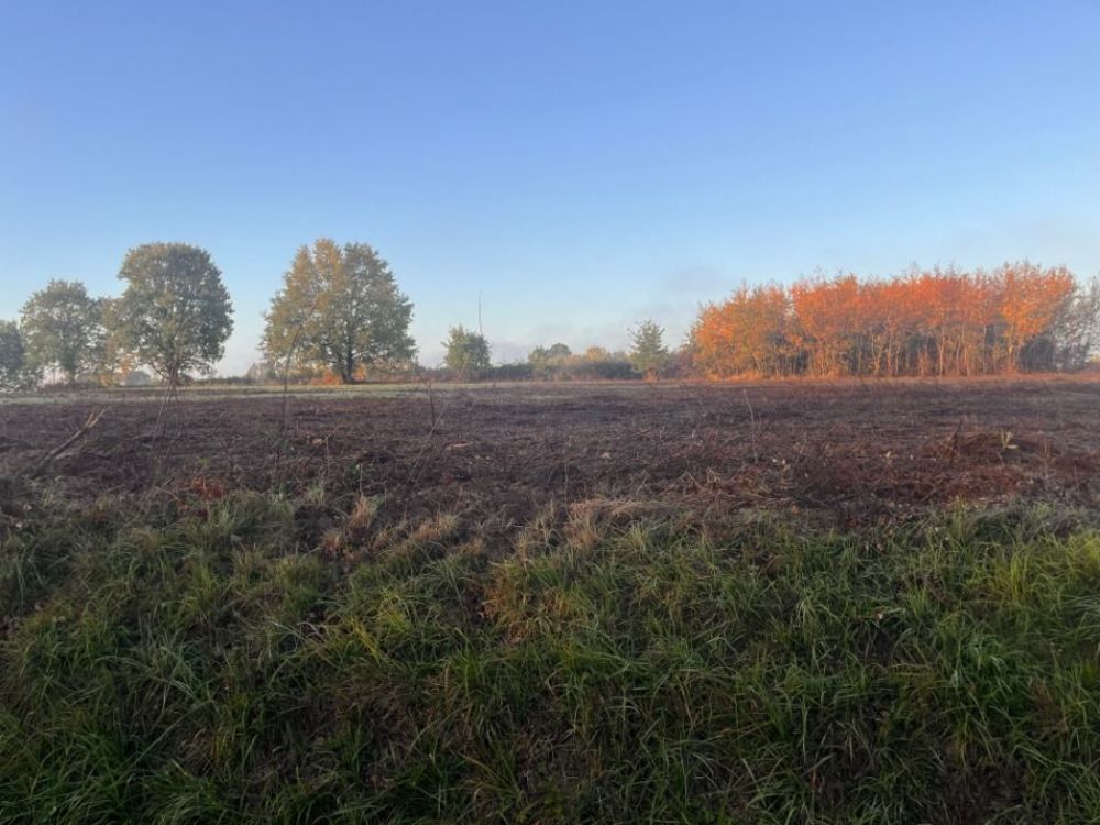 Maisons neuves   Cursan (33670)