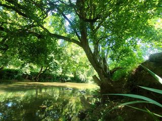  Terrain � vendre 3700 m�