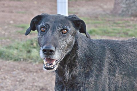 ATILA 320 27620 Gasny