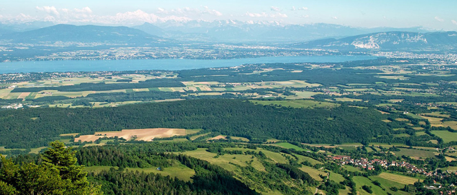 Agence MARGRY WILLIAM.Y Ferney-Voltaire