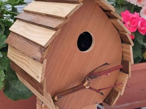 Nichoir 10 62138 Douvrin