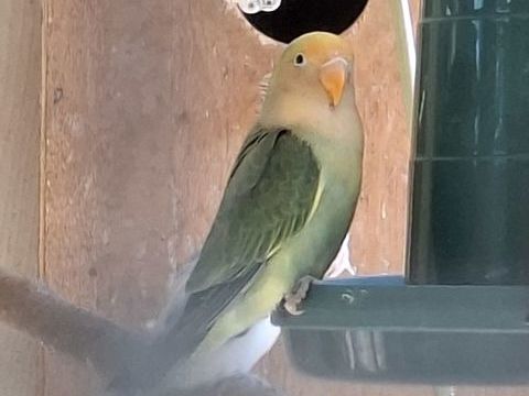 Ins&eacute;parable 30 83330 Le castellet