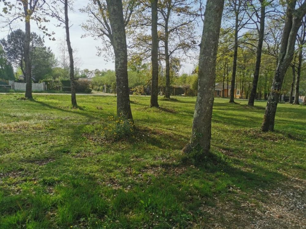 Maisons neuves   Roaillan (33210)