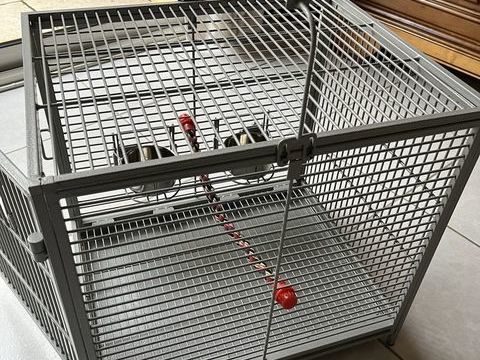 Cage transport 50 22120 Hillion