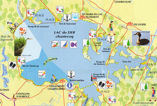  Appartement � louer 2 pi�ces 45 m�