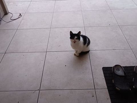 Petite famille 0 75018 Paris