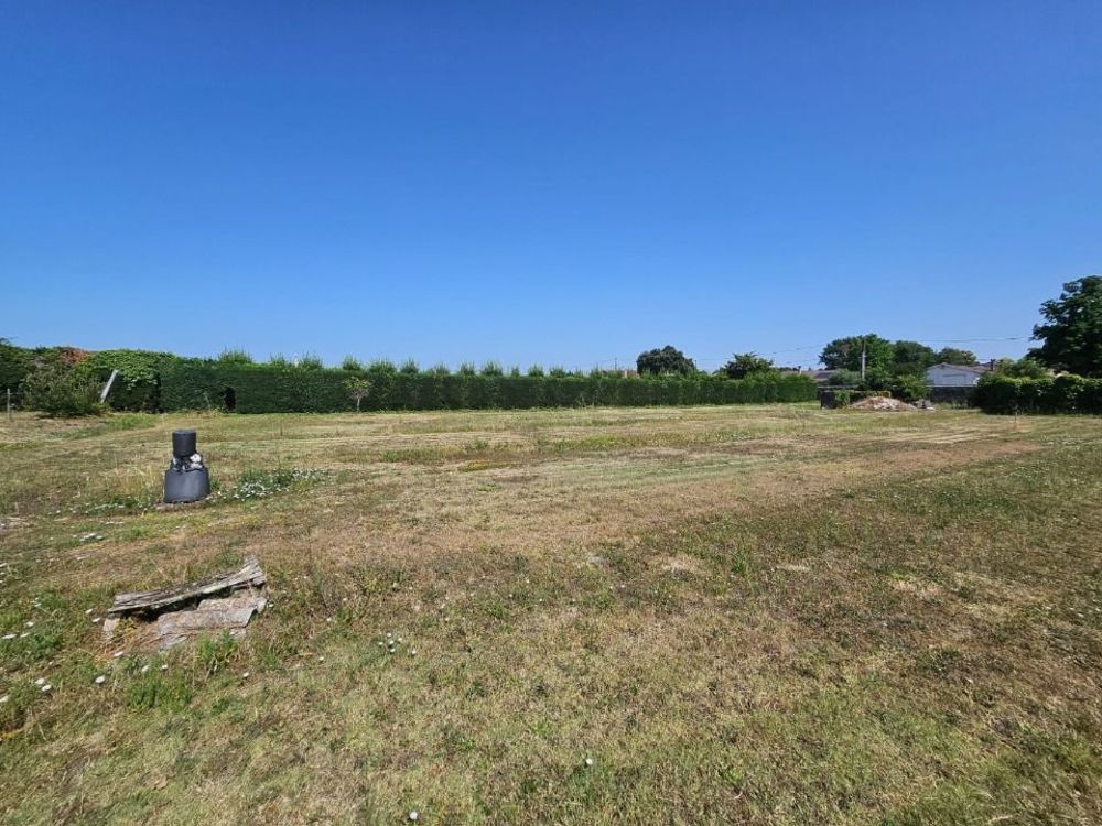 Maisons neuves   Saint-Seurin-de-Cadourne (33180)