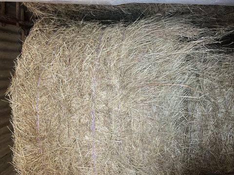 Foin boule 135 20 47440 Casseneuil