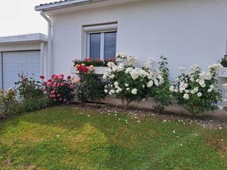  Maison � louer 4 pi�ces 96 m�